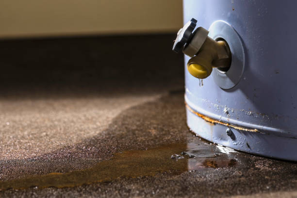 Best Flood damage cleanup  in Statham, GA