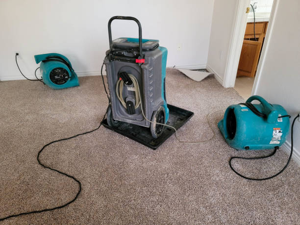 Best Water damage restoration cost  in Statham, GA