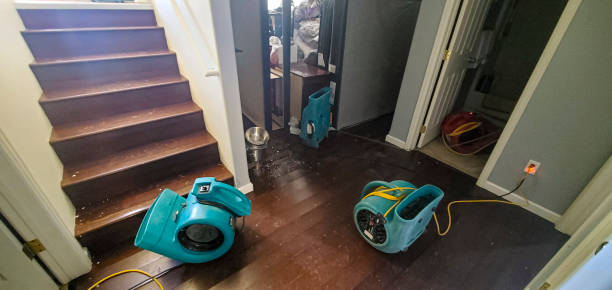 Reliable Statham, GA Water damage restoration Solutions