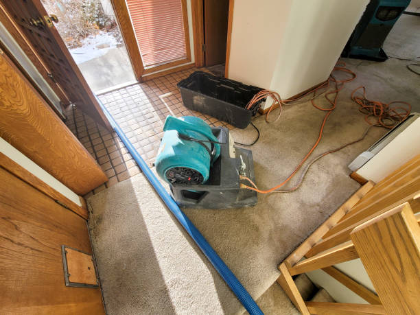 Best Basement water damage restoration  in Statham, GA