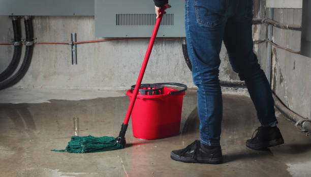 Best Flooded house restoration  in Statham, GA