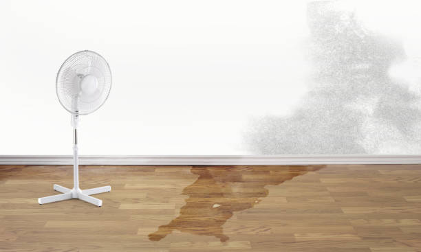 Best Fire Damage Restoration  in Statham, GA