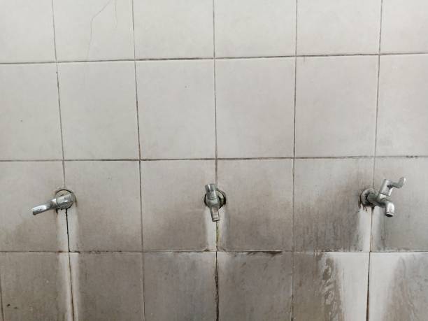 Best Carpet water damage restoration  in Statham, GA