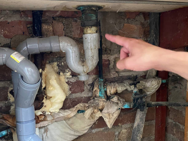  Statham, GA Water damage restoration Pros